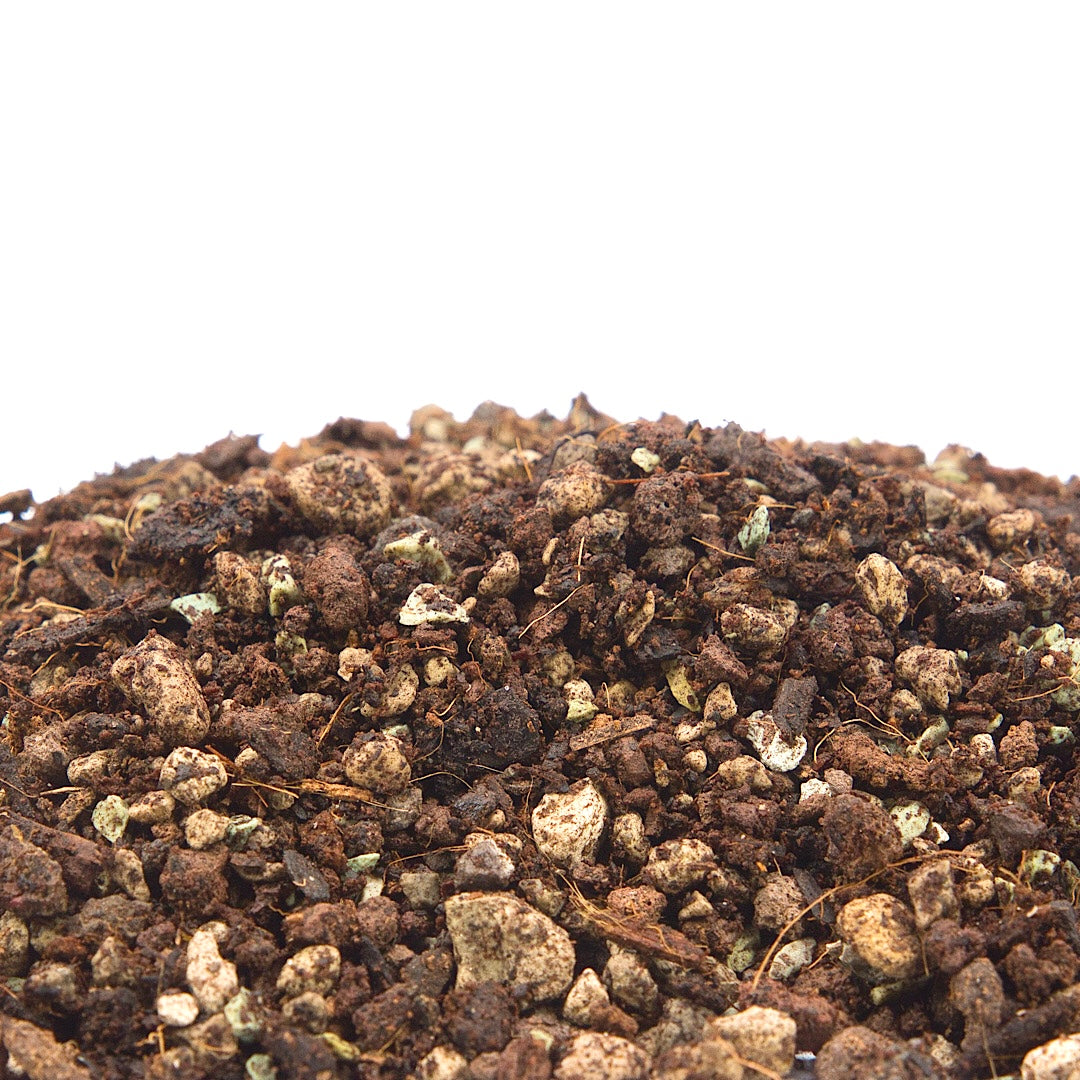 Bonsai-Erde Standard