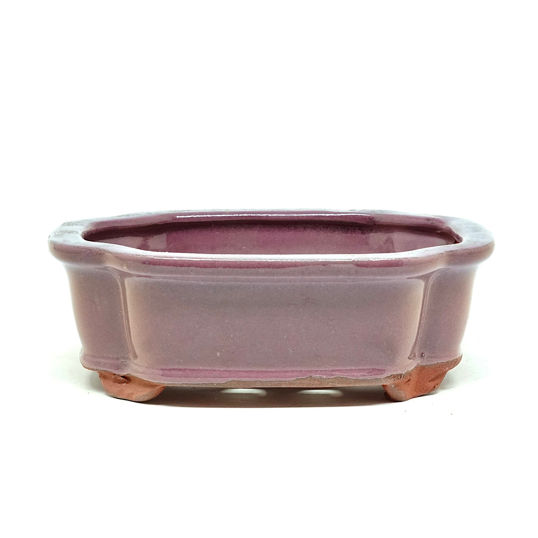 Schale Eckig 16,5 x 12 x 5,5