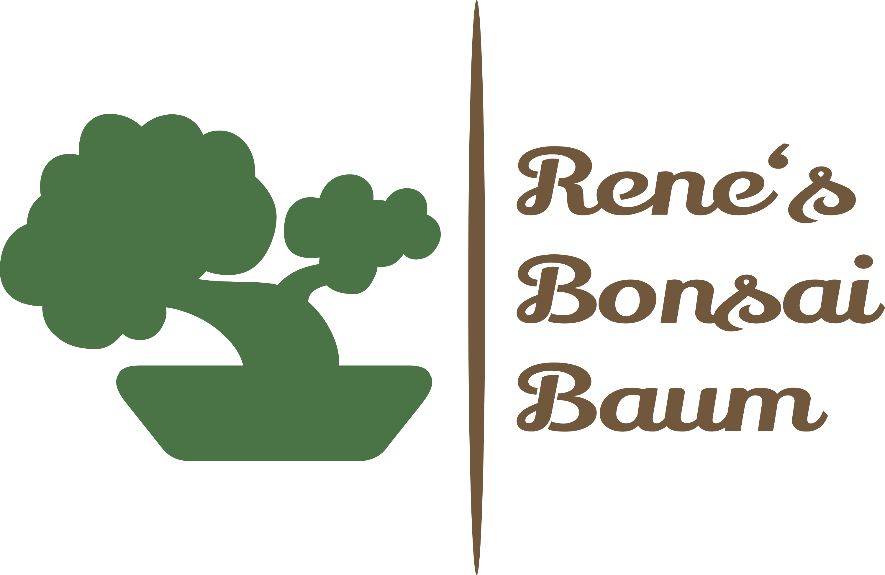 Rene‘s Bonsai Baum