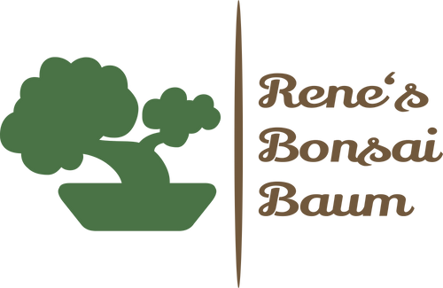 Rene‘s Bonsai Baum
